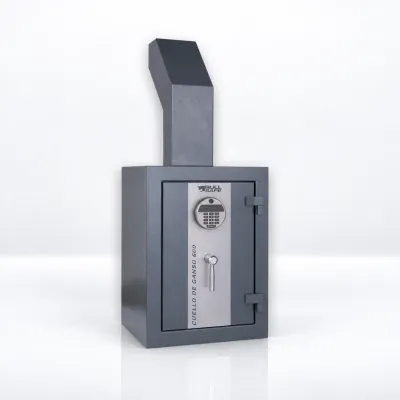 Caja fuerte Cuello de Ganso 600