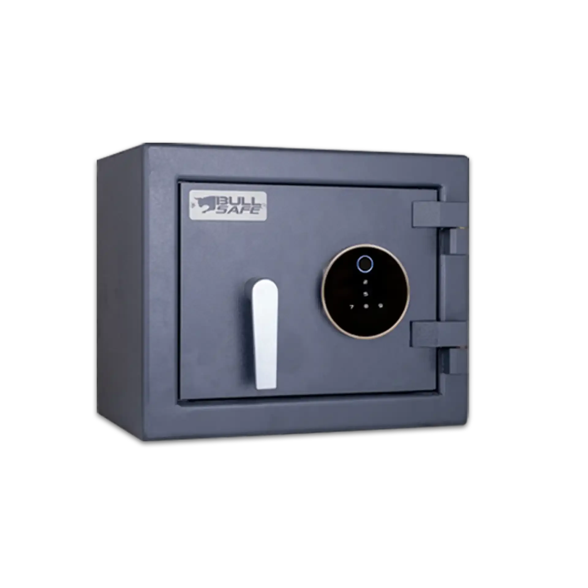 Caja fuerte Defender 550