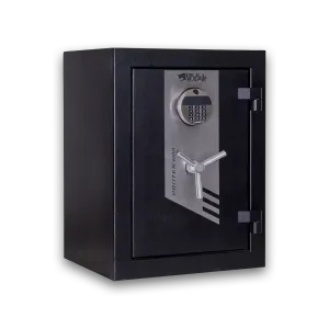 Caja fuerte Protek 600