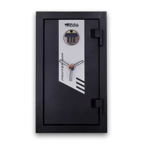 Caja fuerte Protek 800