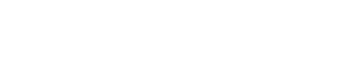 Bullsafe Logo